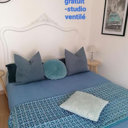 Ferienwohnung Charmant Logement En Plein Centre De Mâcon Exterior foto